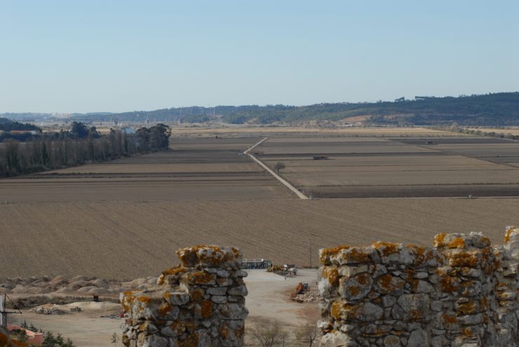 Campos do Mondego