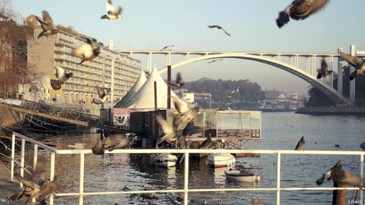 Ponte da Arrábida