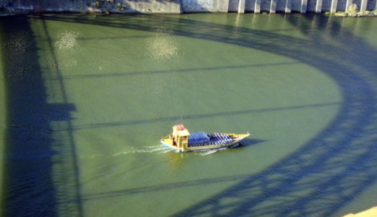Barcos Rabelos